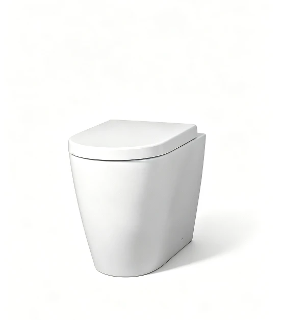 Back To Wall Compact Toilet — WaterMark Certified, WELS 4-Star, 520mm Floor Mounted Pan For Australian Trade Buyers (Model FI-05)