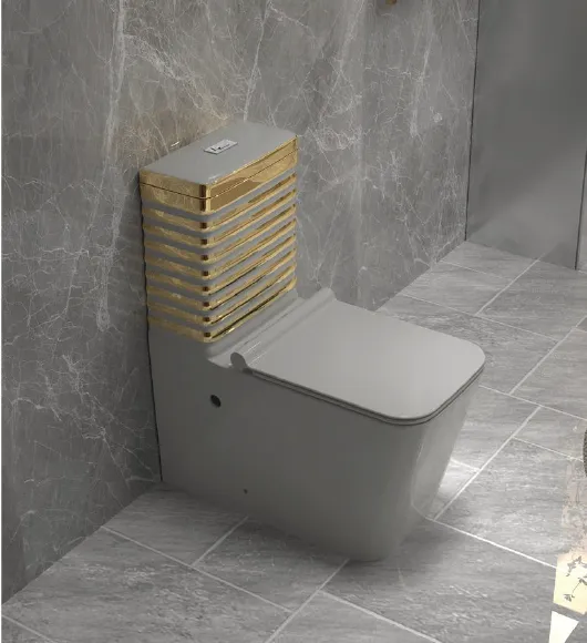 One Piece Toilet Manufacturer China — JT2079 Gold-Trim Washdown Toilet