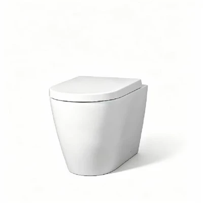 Back To Wall Concealed Cistern Toilet