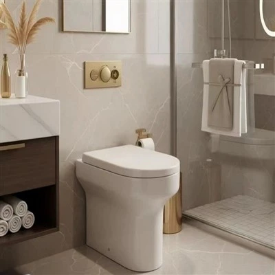 Tankless Smart Toilet