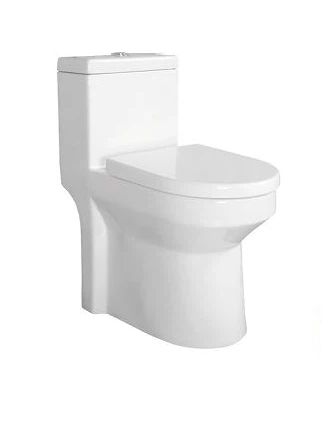 One Piece Height Toilet For Modern-style Bathrooms