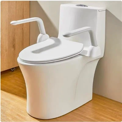 Elderly-friendly Toilet