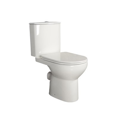 Two Piece Dual Flush Toilet